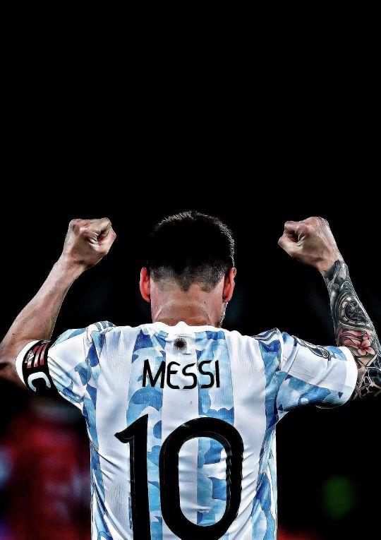 上也不乏新 上也不乏新