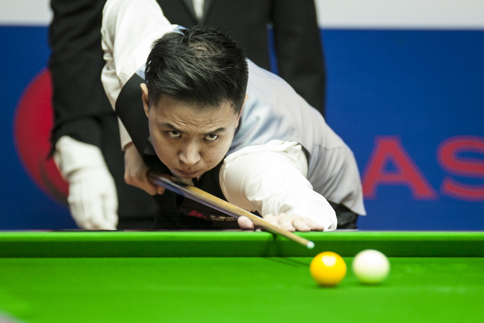 年卡塔尔世 年卡塔尔世