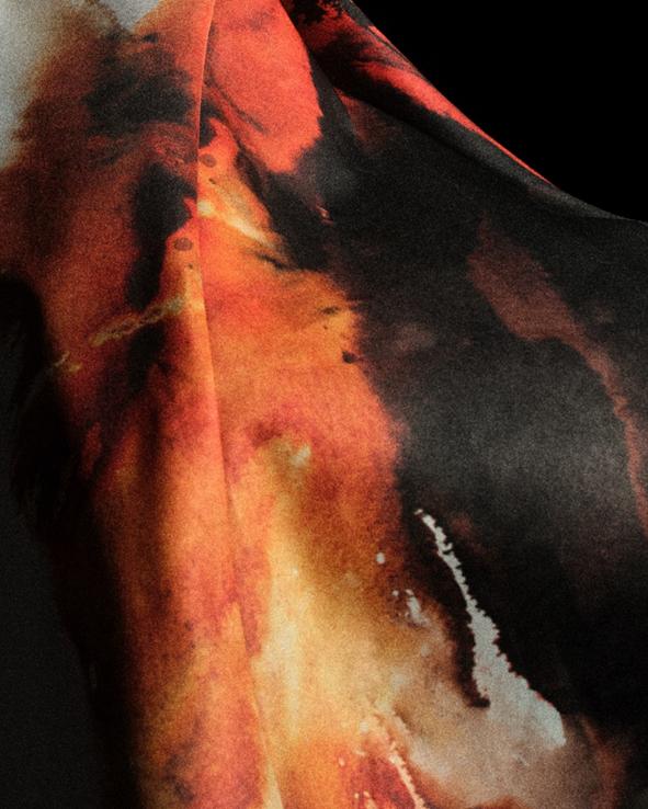 他职业生涯 他职业生涯